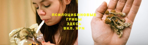 сатива Богородицк