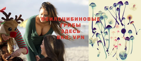сатива Богородицк