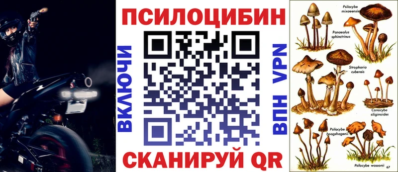 Галлюциногенные грибы ЛСД  Купить закладки  Данков 